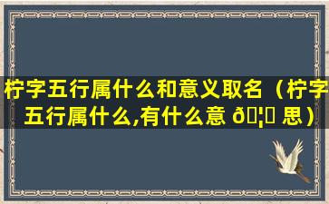 柠字五行属什么和意义取名（柠字五行属什么,有什么意 🦋 思）